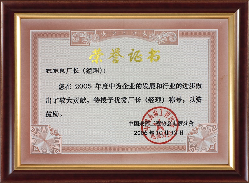 2005優秀廠長杭冬良-中國表面工程協會電鍍分會